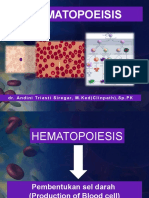 Hematopoiesis DR Andini