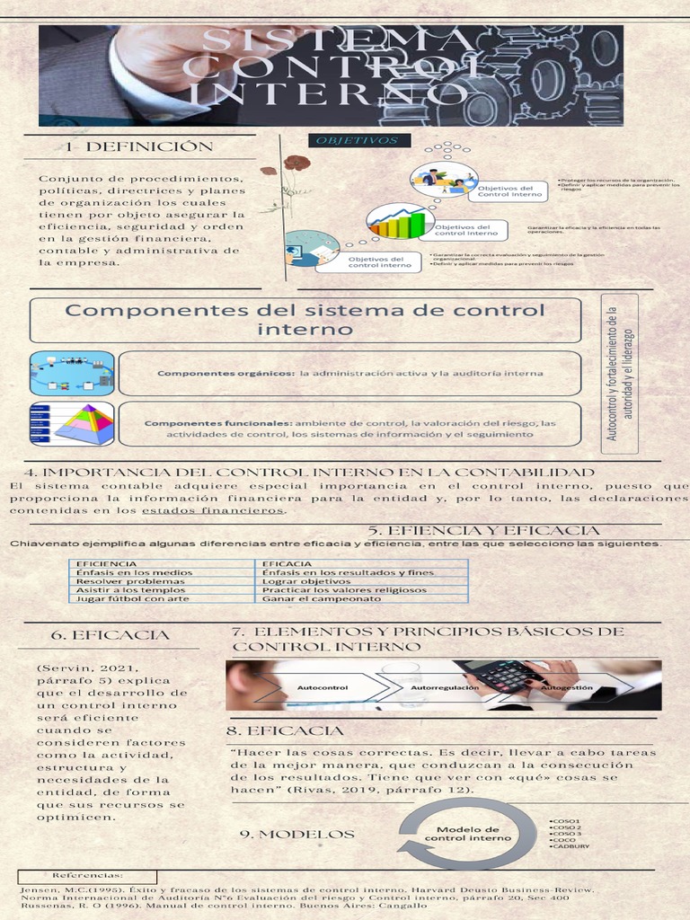 Poster Académico Control Interno | PDF
