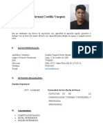 Curriculum Vitae - Nicoli Rodriguez Costilla (2)