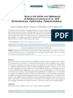 Echinodermata Ophionereididae Troglomorphism MEXICO - Márquez-Borrás &al 2020