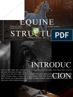 Equine English II