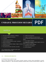 UNIDAD 2 - Procesos Metabolicos