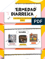 Enfermedad Diarreica