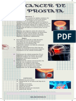 Cancer de Prostata