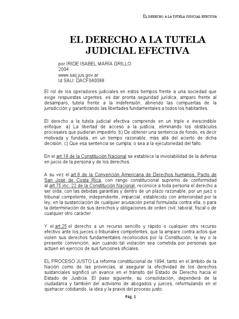 El Derecho A La Tutela Judicial Efectiva | PDF | Judicaturas | Jurisdicción