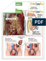 Catalogo de Enfermedades