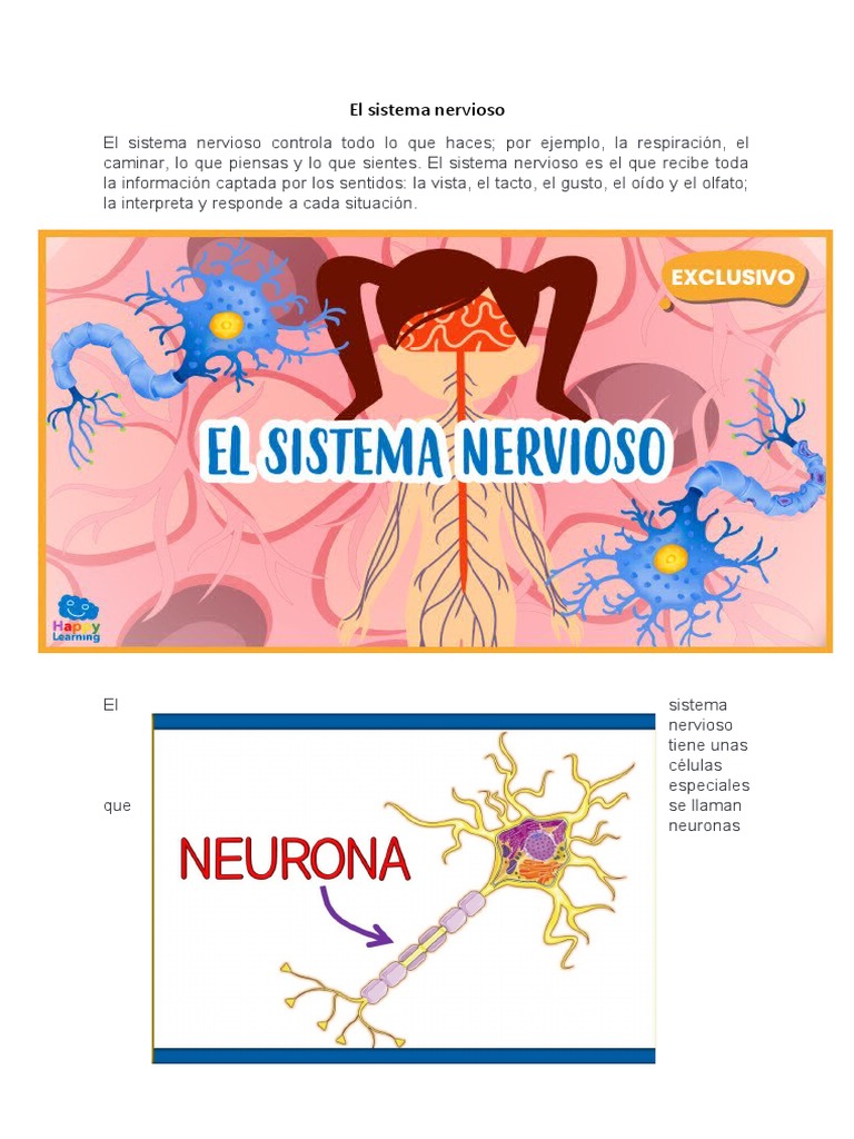 El Sistema Nervioso Pdf