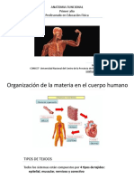 Clase 4. Tejidos y Sistemas. Tipos y Caracteristicas Generales