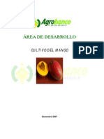 Cultivo Del Mango