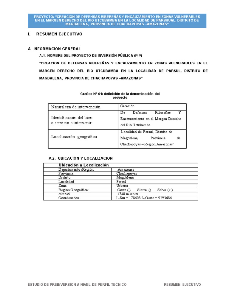 Modelo de Impacto Ambiental | PDF | Gobierno local | Ciencias de la Tierra
