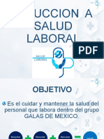 Induccion A Salud Laboral