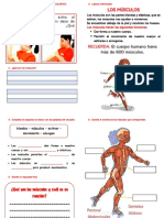 Ficha 08 DE JUNIO