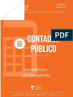 Trabajo Práctico #4 - Determinantes