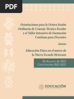Programa Analítico Y Codiseño De Educación Física Mtro Antonio Preza