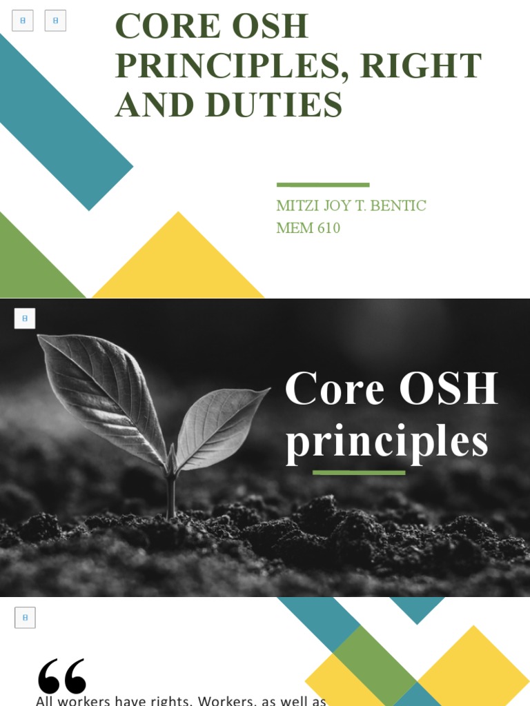 Core Osh Principles, Right and Duties | PDF | Occupational Safety And ...