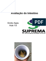 Módulo Intestino Aula 1