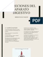 Secreciones Del A. Digestivo