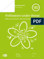 DW Global Ideas Workbook 5 Pollinators