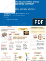 Universidad Privada Antenor Orrego Programa de Enfermería: "Sistema Nervioso Central"