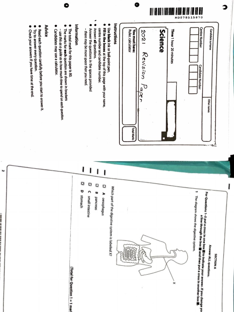 Edexcel 2021 paper pdf