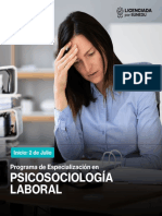 Brochure Psicosociologia Laboral