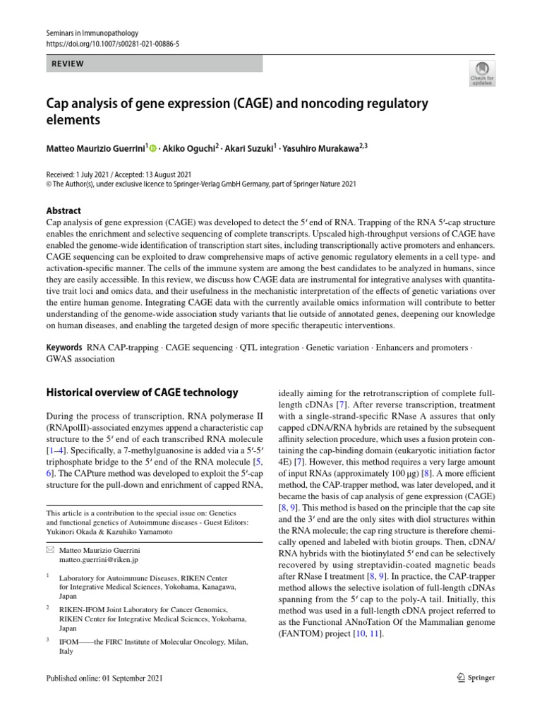 Cage | PDF