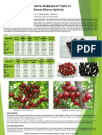 A. Zhivondov, S. Savchovska, S. Malchev: Results of Biometric Analyses of Fruits of Selected Sweet Cherry Hybrids