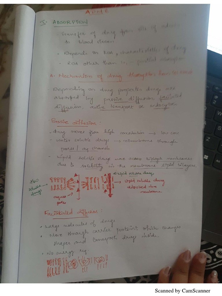 Absorption notes intro PDF