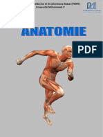 Anatomie II