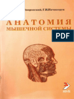 Gayvoronskiy i v Nichiporuk g i Anatomiya Myshechnoy Sistemy