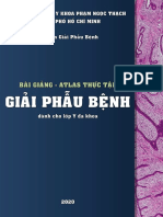 Giáo Trình Thực Tập Gpb y3 2020