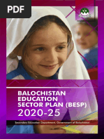 Besp2020 25