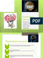 TAREA Plasticidad Neuronal