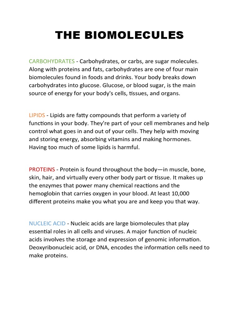 THE BIOMOLECULES PDF