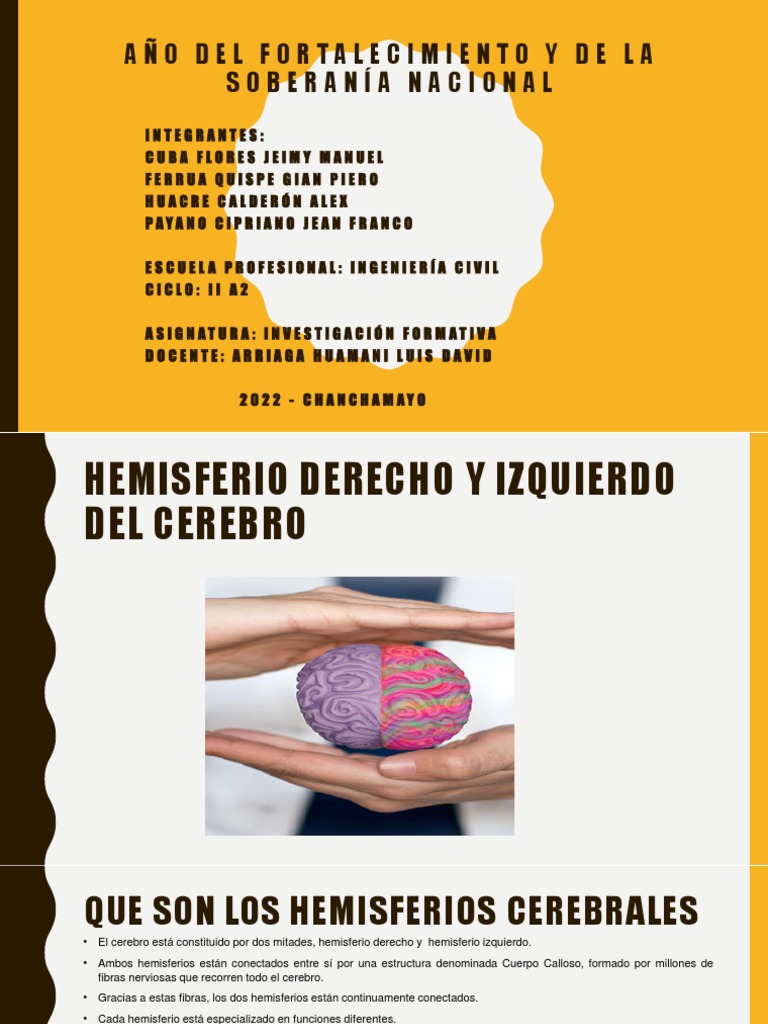 emisferio derecho y izquierdo 3 | PDF | Hemisferio cerebral | Cerebro