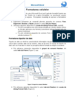 Formatarea Celulelor - Actualizat