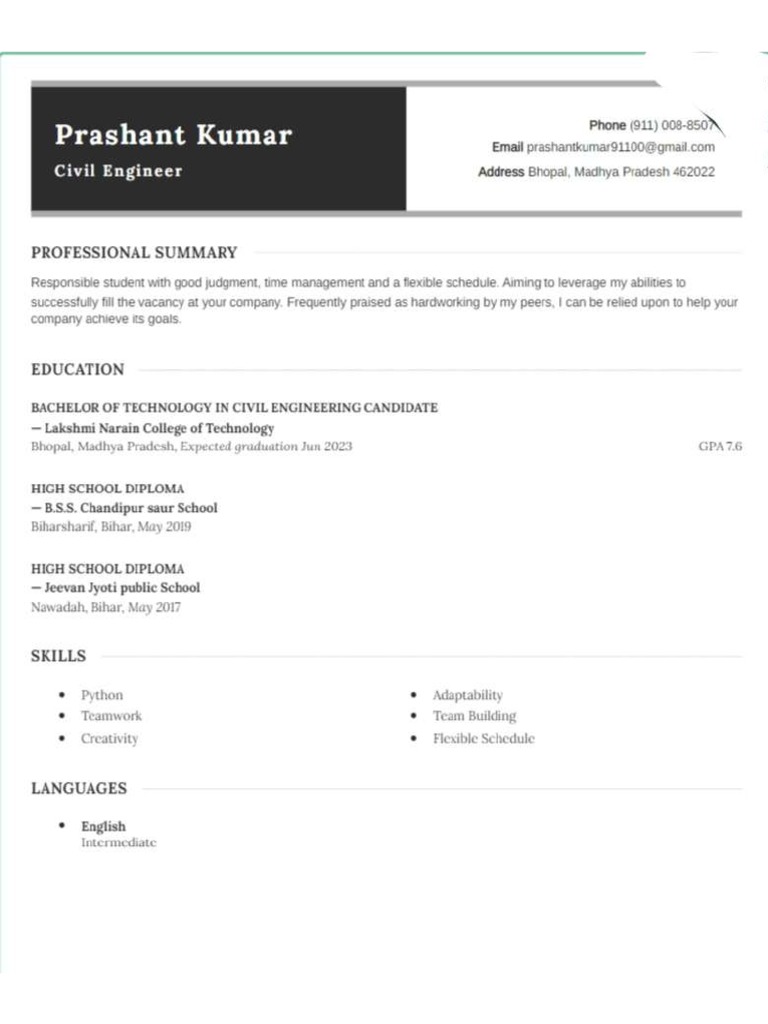 Prashant - Resume | PDF