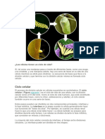 Las Células Tienen Un Ciclo de Vida