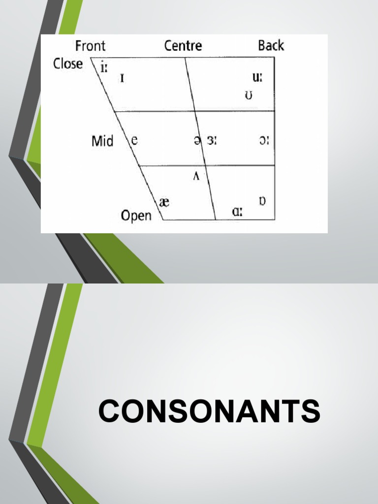 Consonants Pdf Human Throat Human Communication