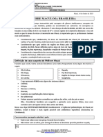 Informe - Febre - Maculosa - 14-06-2023