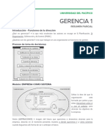 Resumen Parcial - Gerencia1