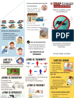 Tríptico Sobre El Dengue