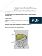 Anatomy