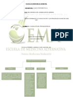 Mapa Conceptual de Sonidos de Auscultación.