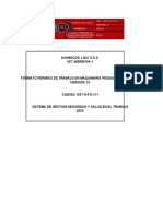 Sst-H-Fo-101 Permiso de Trabajo en Maquin y Vehiculos