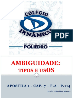 Ambiguidade Oficial - Port 1 Ano