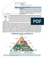 Atividade 05 Extra 8 Ano Piramide Alimentar PDF