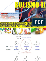 Metabolismo de Las Purinas y Pirimidinas 2021