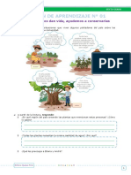 Anexo de Sesiones de Aprendizaje - EDA IV Semana 1 - Editora Quipus Perú