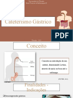 2 - Cateterismo Gástrico
